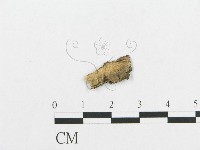 登錄號:F0014982藏品圖，第3張