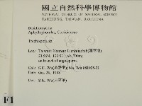 登錄號:F0014983藏品圖，第2張