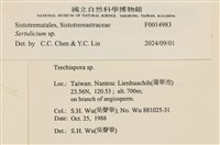 登錄號:F0014983藏品圖，第3張