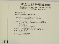 登錄號:F0014984藏品圖，第2張