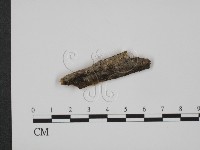 登錄號:F0014984藏品圖，第1張