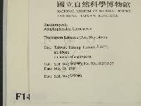 登錄號:F0014986藏品圖，第2張