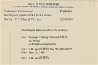 登錄號:F0014986藏品圖，第3張