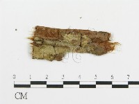 登錄號:F0014987藏品圖，第1張