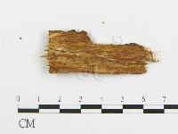 登錄號:F0014987藏品圖，第3張