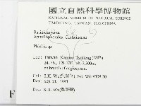 登錄號:F0014989藏品圖，第2張