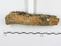 登錄號:F0014989藏品圖，第3張