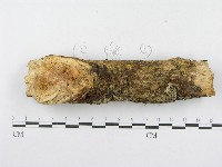 登錄號:F0014989藏品圖，第4張