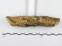 登錄號:F0014989藏品圖，第5張