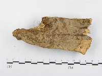 登錄號:F0014990藏品圖，第3張