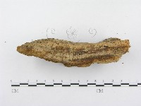 登錄號:F0014990藏品圖，第5張