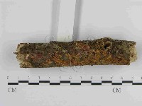 登錄號:F0014992藏品圖，第3張