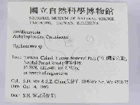 登錄號:F0014993藏品圖，第2張