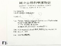 射脈菌屬藏品圖，第2張