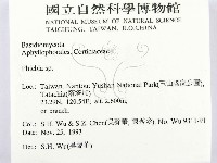 射脈菌屬藏品圖，第2張