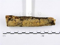 登錄號:F0015002藏品圖，第3張