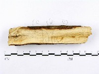 登錄號:F0015002藏品圖，第4張