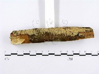 登錄號:F0015002藏品圖，第5張