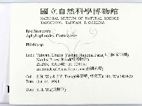 射脈菌屬藏品圖，第2張