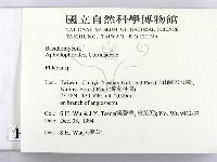 射脈菌屬藏品圖，第2張