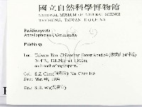 射脈菌屬藏品圖，第2張