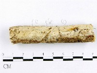 登錄號:F0015011藏品圖，第1張