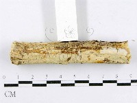 登錄號:F0015011藏品圖，第3張