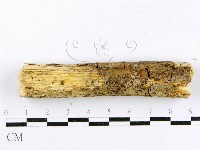 登錄號:F0015011藏品圖，第4張