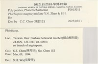 登錄號:F0015011藏品圖，第6張