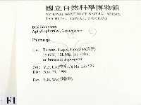 射脈菌屬藏品圖，第2張