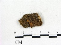 登錄號:F0015015藏品圖，第1張