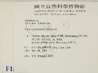 登錄號:F0015016藏品圖，第2張