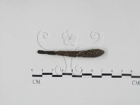 登錄號:F0015016藏品圖，第3張