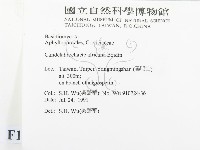 登錄號:F0015017藏品圖，第2張