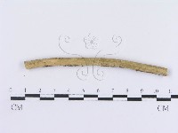 登錄號:F0015018藏品圖，第3張