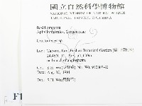 登錄號:F0015019藏品圖，第2張