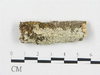 登錄號:F0015019藏品圖，第1張