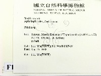 射脈菌屬藏品圖，第2張