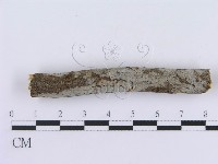 登錄號:F0015022藏品圖，第1張