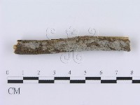 登錄號:F0015022藏品圖，第3張