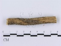 登錄號:F0015022藏品圖，第4張
