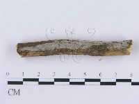 登錄號:F0015022藏品圖，第6張