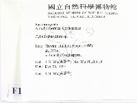 柱擔菌屬藏品圖，第2張