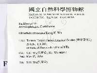 登錄號:F0015026藏品圖，第2張