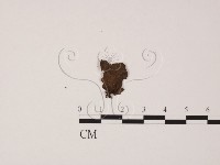 登錄號:F0015027藏品圖，第1張