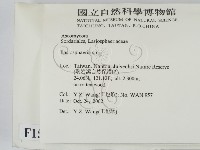 登錄號:F0015028藏品圖，第2張