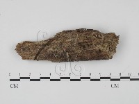 登錄號:F0015028藏品圖，第1張
