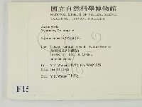 登錄號:F0015029藏品圖，第2張