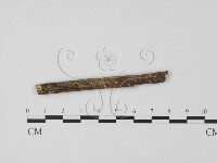 登錄號:F0015030藏品圖，第1張