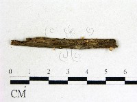 登錄號:F0015031藏品圖，第1張
